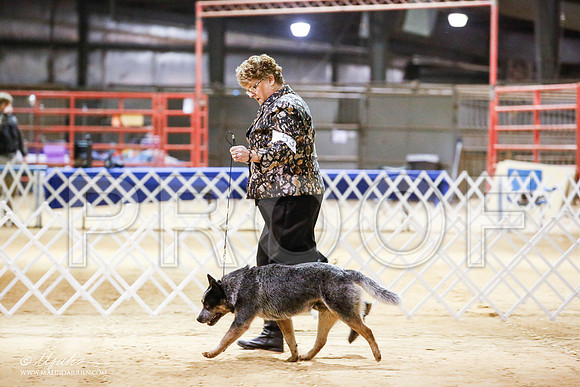 _JN_4055-2-GlenRoseJan2015-HR3