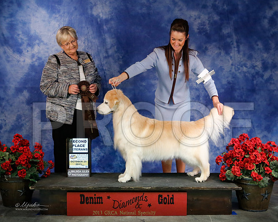 Vet-8355-WFOct2013-HR