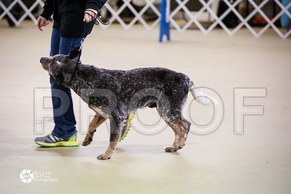 ACD-7592-HtoJan14-HR