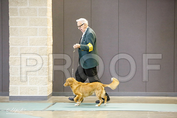 _LH_3084-BeltonJan2015-HR3