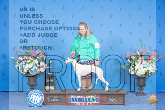 Whippet #20 SUN WB BOW M Judge Jamie Hubbard__JP_0007_Houston_2024_HR3