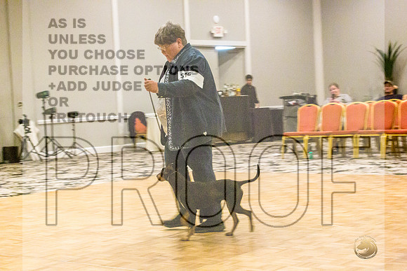 Manchester Terrier MTOY Candids-JJL_2262-Hstn2022_HR3