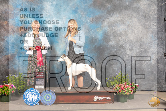 Whippet #20 Fri G2 Judge Debra Thornton_MJ_0036_SA_2022_HR3