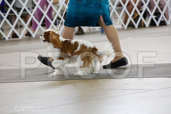 _HR_2389-DallasJul2014-HR3
