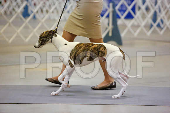 _JN_4052-AmarilloSept2014-HR3