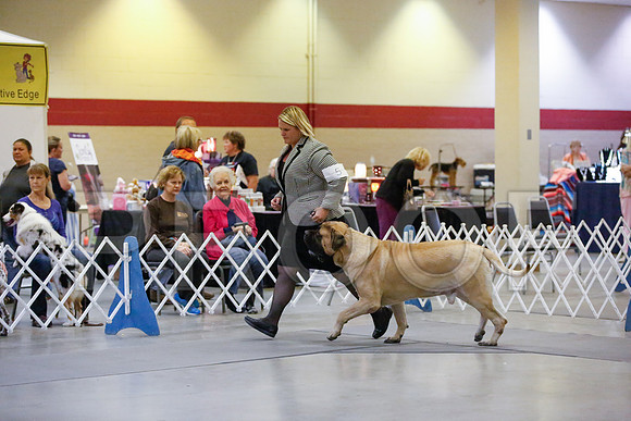 _JN_7093-AmarilloSept2014-HR3