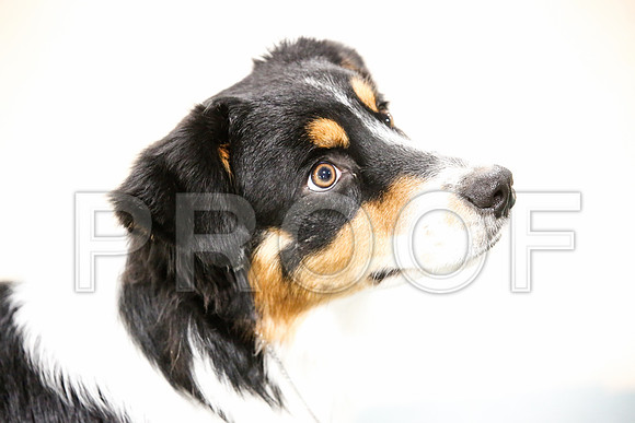 _JJ_7147-ASCACollegeStationNov2014-HR3