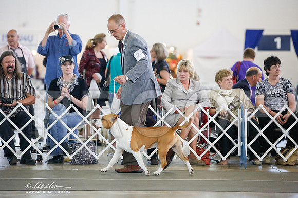 _JJ_7777-DallasJul2014-HR3