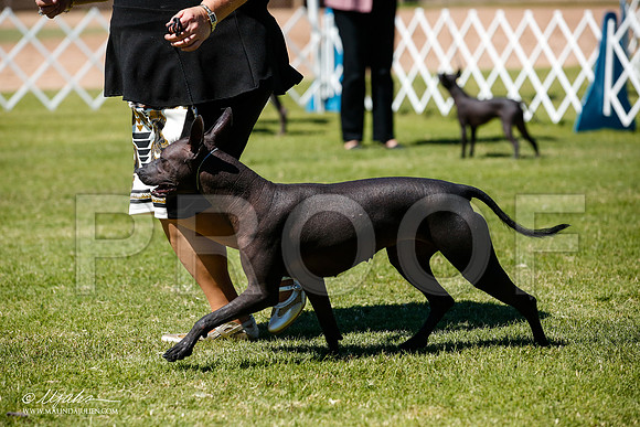 _JJ_8075-AlamogordoOct2014-HR3