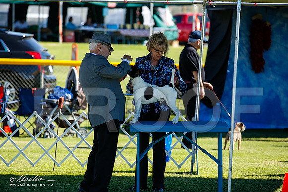 _JN_4454-AlamogordoOct2014-HR3
