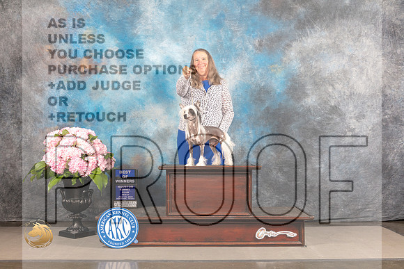 Chinese Crested #22 FRI WB BOW Judge Ken Murray_MJ_5228_Houston_2022_HR3