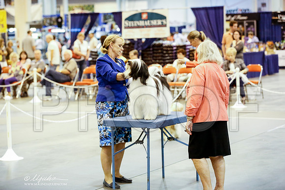 _JN_4685-HstnJul2014-HR3