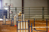 Agility Std 24 Sun #24001