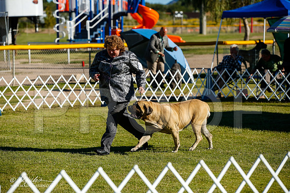 _JJ_9064-AlamogordoOct2014-HR3