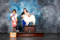 American Eskimo #258 Sat RNTLGCH Judge Nancy Gallant
