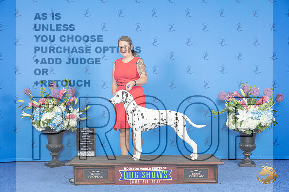 Dalmatian #8 FRI WB NC M Judge Jon Cole__JP_8916_Houston_2024_HR3