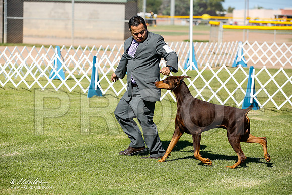 _JN_5966-AlamogordoOct2014-HR3