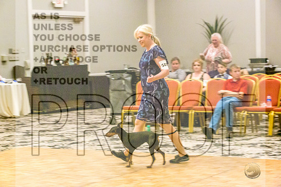 Manchester Terrier MTOY Candids-JJL_2039-Hstn2022_HR3