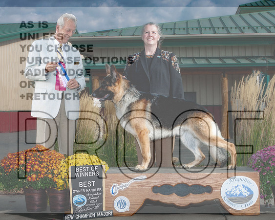 Sue Runge Edit Sept 2022-Best of Winners major, CH title - Sep 2020-HR3