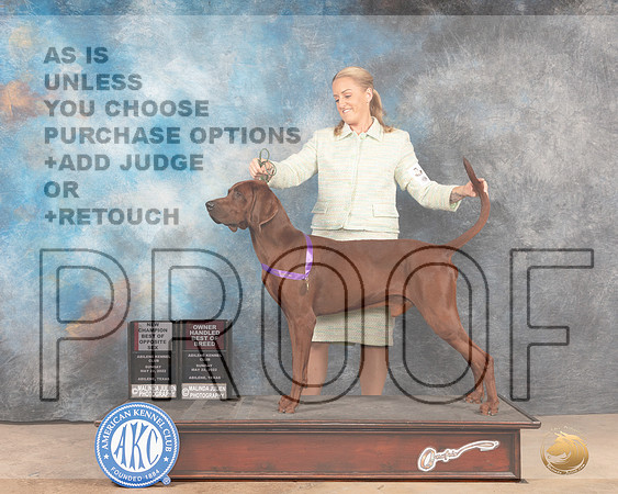 Redbone Coonhound #5 Sun BOWCh Judge Pat Trotter-MMJ_4769-Abilene2022-HR3
