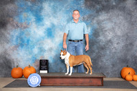 American Staffordshire Terrier #8 Sat OHG3 Judge Ray Filburn