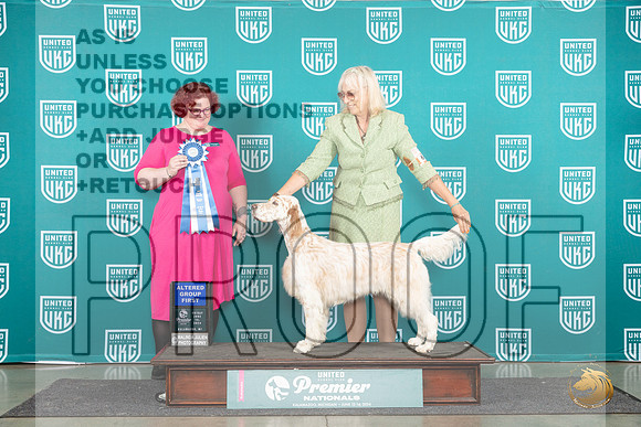 English Setter #609 Fri AG1 Judge Tracy Karsjens__JP_1803_Premier_2024_HR3