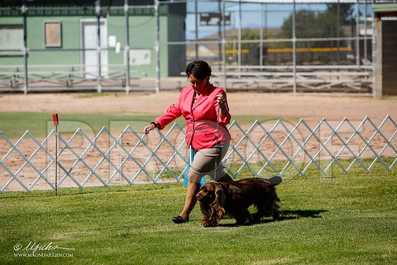_JJ_4832-AlamogordoOct2014-HR3