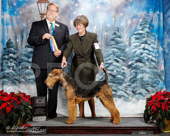 _ST_8512-2-DallasDec2014-HR3