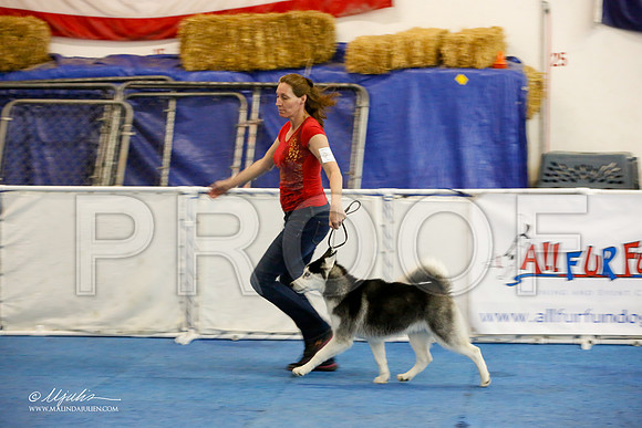 _M3_8148-AddisonHuskyMar2015-HR3