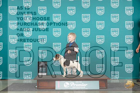 Parson Russel Terrier #2000 Sat PJr1 Judge Stan Matsumoto__JP_1961_Premier_2024_HR3
