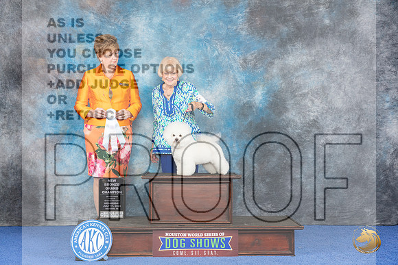Bichon Frise #10 WED SB NBGC Judge Denise Flaim__JP_7149_Houston_2024_HR3