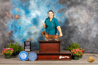 Dachshund Wirehaired #17 Fri BOW Judge Debra Thornton