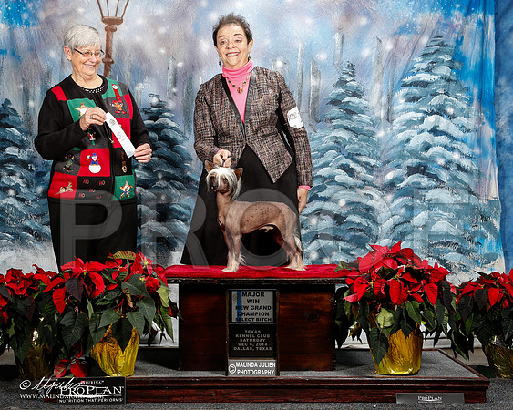 _ST_8524-2-DallasDec2014-HR3