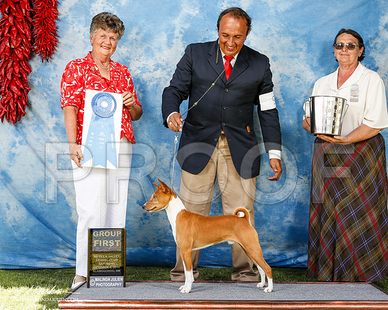 _ST_2991-2-AlamogordoOct2014-HR3