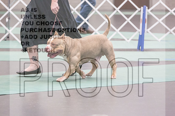 Bully Rings Fri Ring 1_JJL_6881_UKCLNGVIEWOCT2024_2024_HR3