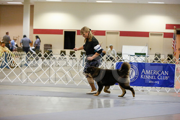 _JN_6912-AmarilloSept2014-HR3