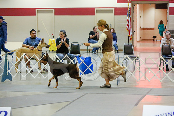 _JJ_3659-AmarilloSept2014-HR3