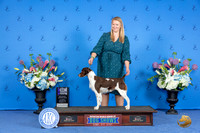 Brittany #28 SAT WB M Judge Ronald Freeman r