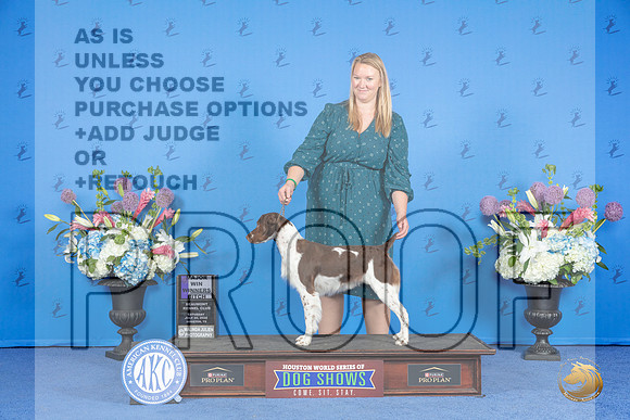 Brittany #28 SAT WB M Judge Ronald Freeman r__JP_0367_Houston_2024_HR3