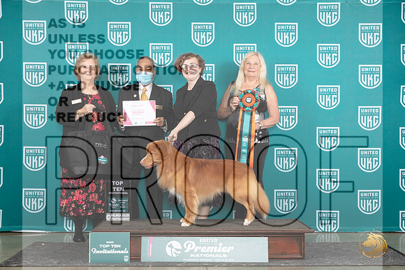 Nova Scotia Duck Tolling Retriever #172 Thur T107th__JP_1376_Premier_2024_HR3