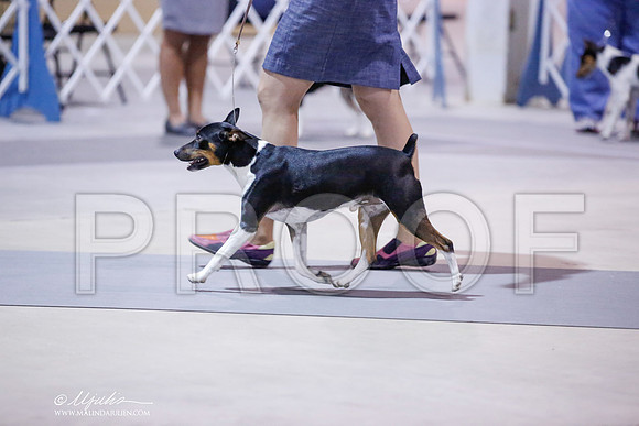 _JN_8443-SAJul2014-HR3