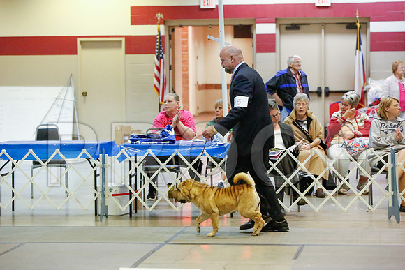_JJ_4783-AmarilloSept2014-HR3
