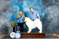 Samoyed #7 Fri G1 Judge Sandra Walker