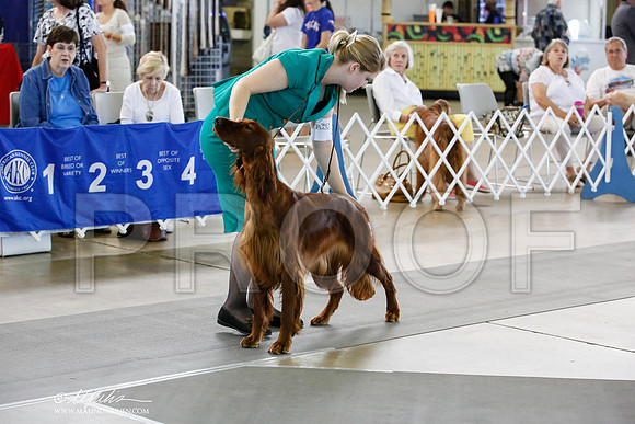 _JN_2480-DallasJul2014-HR3