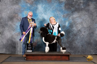Poodle Standard MC #212 Sun BIS Judge Matthew Proctor