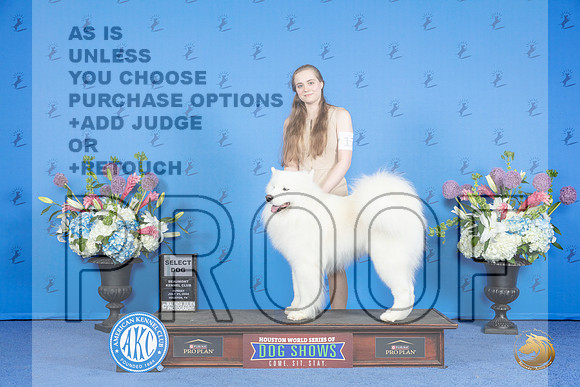 Samoyed #17 SUN SD Judge Ronald Freeman__JP_0617_Houston_2024_HR3