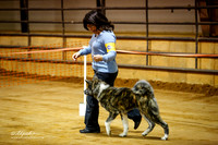 Akita Fri Ring Marshall Dec 2013