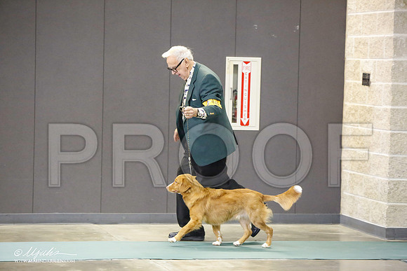 _LH_3093-BeltonJan2015-HR3