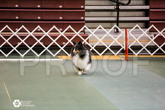 _RH_9543-BsrCtyJun2014-HR3