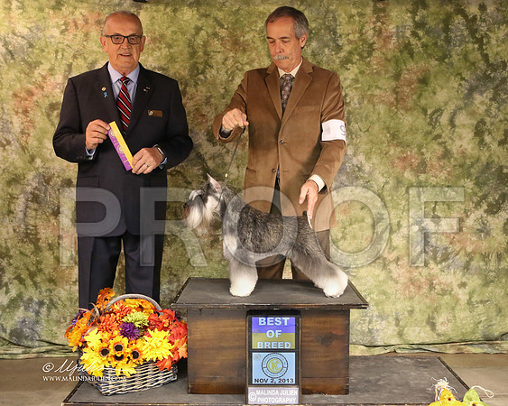 MinSch-6822-SANov13-HR